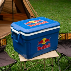 [CHO THUÊ] THÙNG ĐÁ 2 LỚP GIỮ LẠNH