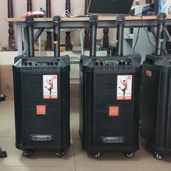 [CHO THUÊ] LOA KÉO TAY DÃ NGOẠI TẠI HÀ NỘI