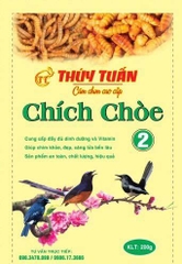 Cám chim Thúy Tuấn chích chòe số 2