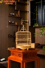 Lồng Khuyên Bố Lủng
