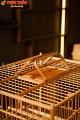 Lồng Vuông Để Bàn