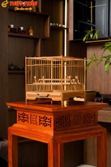 Lồng Vuông Để Bàn