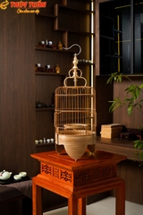Lồng Tàu Dừa