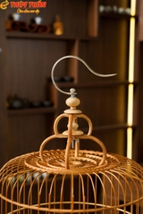 Lồng Khuyên Bố Lủng