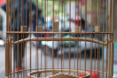 Lồng Tàu Dừa