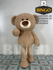 Mascot gấu Teddy Fide