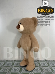 Mascot gấu Teddy Fide