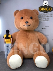 Cho Thuê Mô Hình Bơm Hơi Gấu Teddy