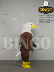 Đặt Thuê Mascot Hơi Chim Đại Bàng
