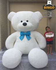 Gấu Bông Teddy Khổng Lồ