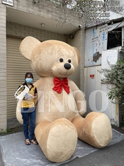 Gấu Teddy trưng bày