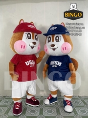 Mascot 3D Sóc USSH