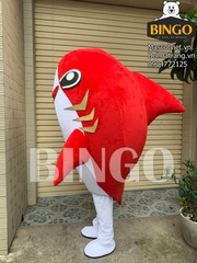 mặt trái Mascot cá Mập đỏ