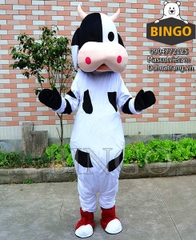 Mascot con bò sữa 06