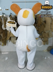 Mascot Con Chó 06