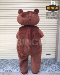 Mascot Gấu Brown