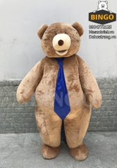 Mascot gấu visa