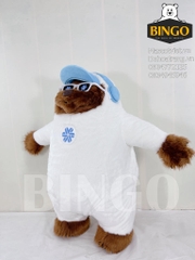 Mascot hơi gấu Ticket