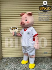 Mascot heo Bapi Hoàng Anh Gia Lai