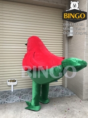 Mascot Hơi Linh Vật Auchan