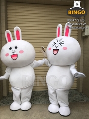 Đặt Thuê Mascot Thỏ Cony