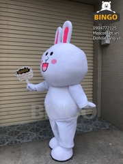 Mascot Thỏ Cony