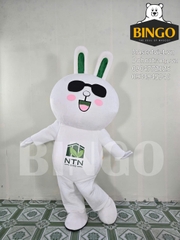 Mascot Thỏ Cony NTN