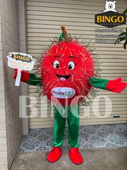 Mascot trái Chôm Chôm 1