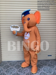 Mascot voi Tâm Trí Lực