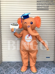 Mascot voi Tâm Trí Lực