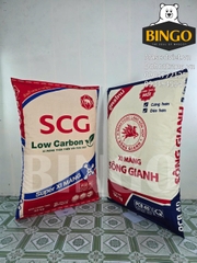 Mô hình bao xi măng SCG