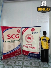 Mô hình bao xi măng SCG