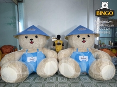 Mô hình gấu Comfort trưng bày