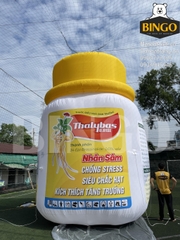 Mô hình hơi chai Thalybas  4m