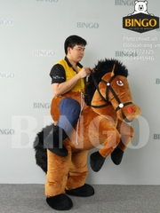 Trang phục hơi cưỡi ngựa