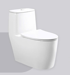 Bồn cầu W-1901