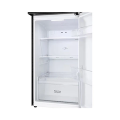 Tủ lạnh LG 217 lít LTB21BLMI