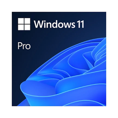 Phần mềm Microsoft Win Pro 11 64Bit Eng Intl 1pk DSP OEI DVD (FQC-10528)