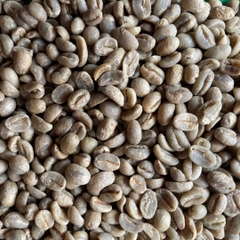 Arabica Lào
