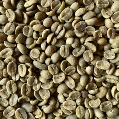 Arabica Lạc Dương