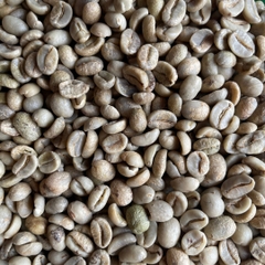 Arabica Sơn La