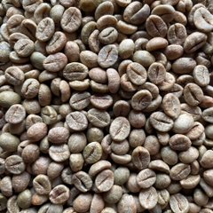 Robusta Clean