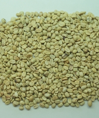 Cà Lụa Arabica