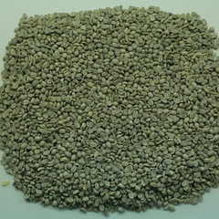 Robusta Washed