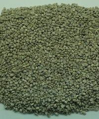 Robusta Washed