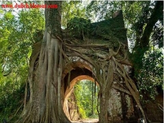 TOUR  LÀNG VĂN HÓA CÁC DÂN TỘC VIỆT NAM - LÀNG CỔ ĐƯỜNG LÂM - CHÙA MÍA