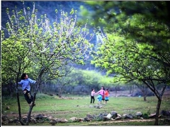 Tour Hải Phòng - Sơn La - Điện Biên - Mộc Châu - Mai Châu  - Hải Phòng