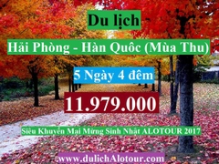 Du Lịch Hàn Quốc (MÙA THU 2017) : SEOUL – NAMI – EVERLAND – THÁP NAM SAN– TẶNG SAUNA – BẢO TÀNG 3D TRICK EYE – KIMCHI SHOW