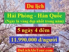 Tour du lịch Hải Phòng Hàn Quốc, Hàn Quốc mùa lá vàng tháng 11/2018