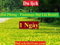 TOUR HẢI PHÒNG - FLAMINGO ĐẠI LẢI RESORT